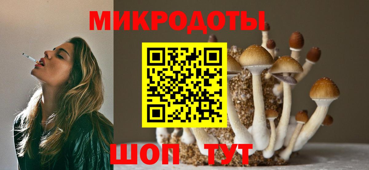 наркотики  Вход с VPN  Галлюциногенные грибы MAGIC MUSHROOMS  Мурино  Псилоцибиновые грибы мицелий 